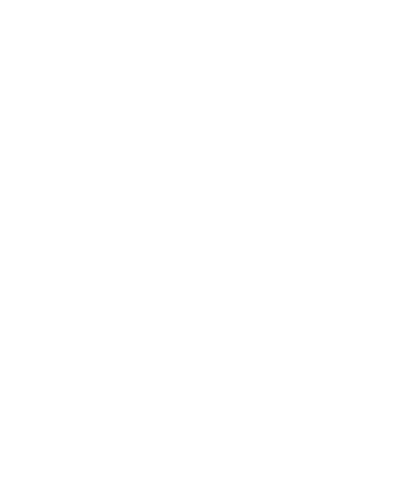 Forstørret hvidt Pronto-logo på gennemsigtig baggrund, ideelt til detaljeret visning i sports- og brandingmaterialer.